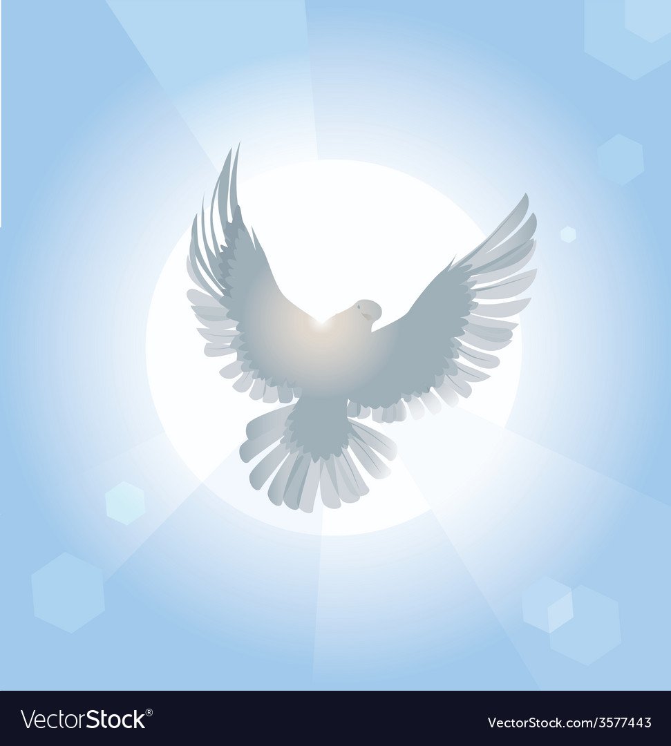 Голубь с распахнутыми крыльями