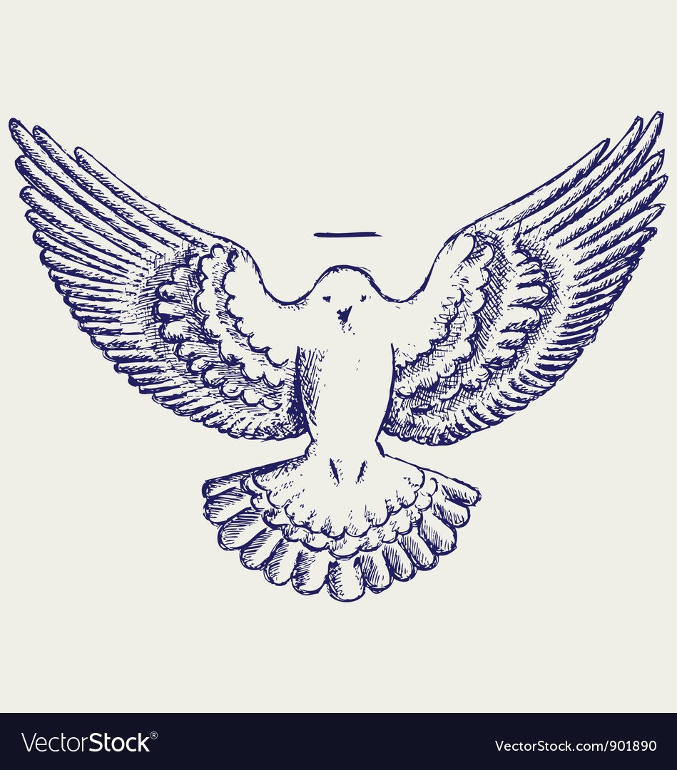 Голубь мира на белом фоне