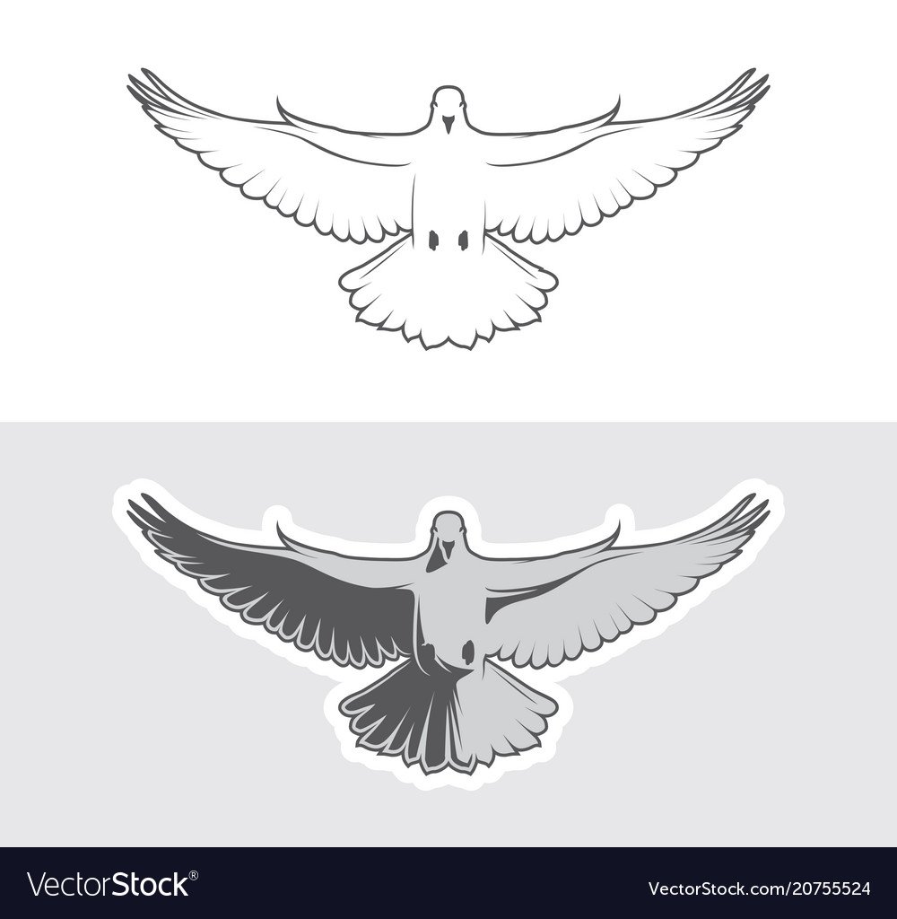 Голубь с раскрытыми крыльями с веточкой