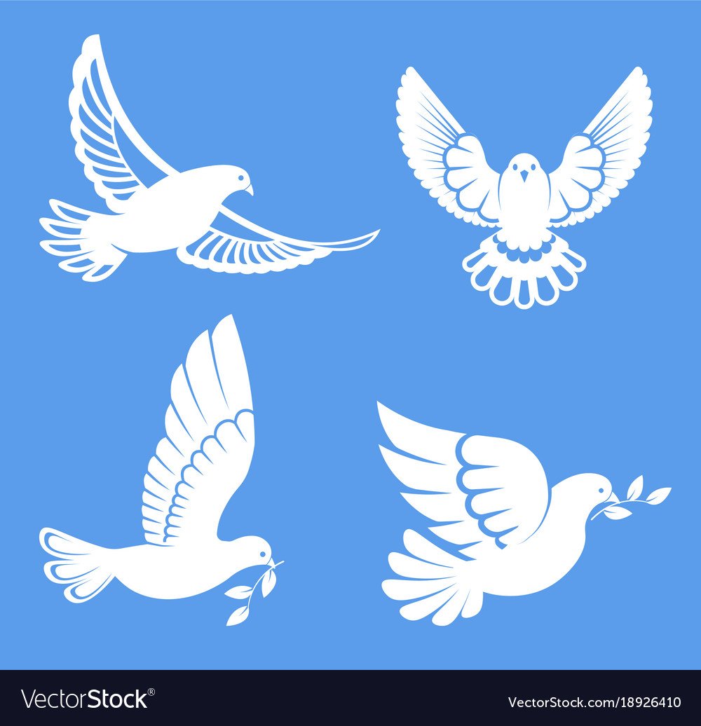 Белые голуби на синем фоне вектор
