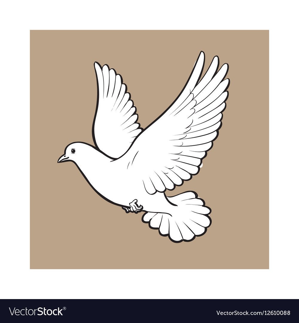 Скетч летающего голубя