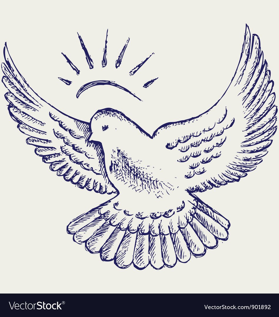 Голуби обои