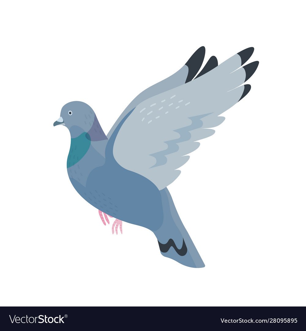 Белые голуби взлетают