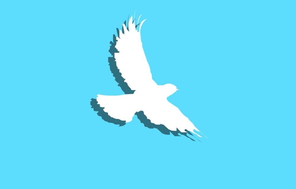 Образ голубя мира