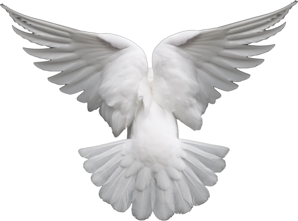 Голуби для вырезания