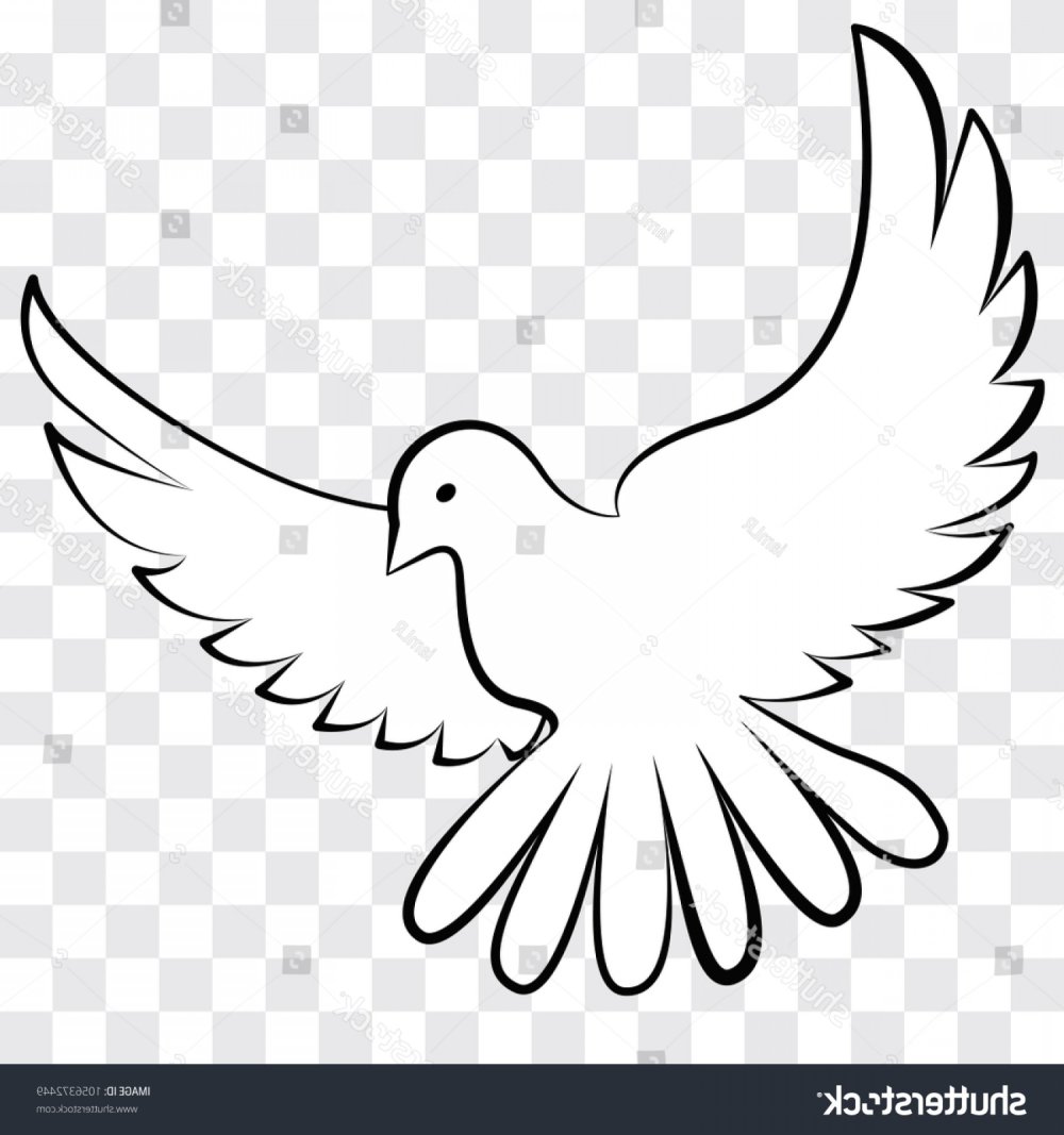 Голубь с оливой Графика