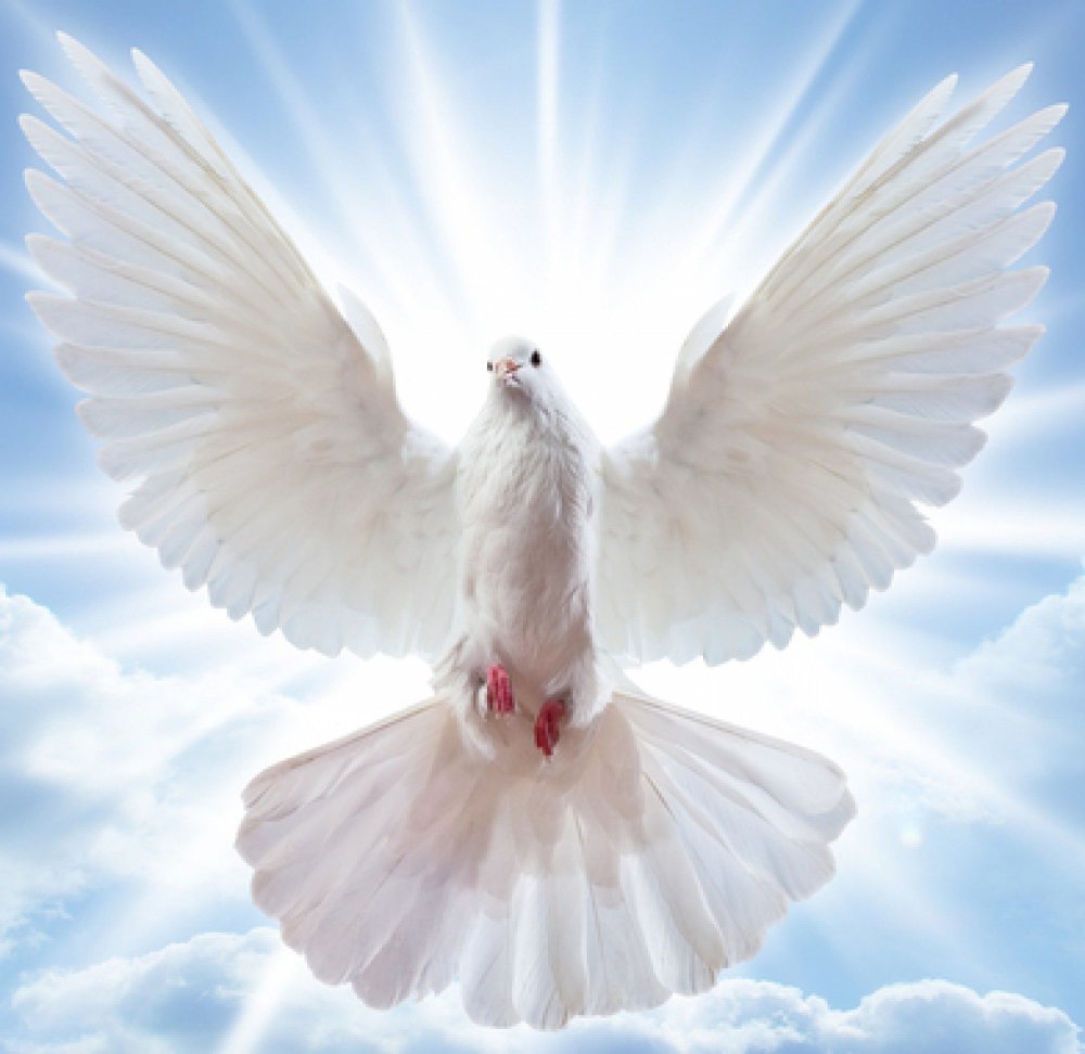 Оверлей крыльев ангела