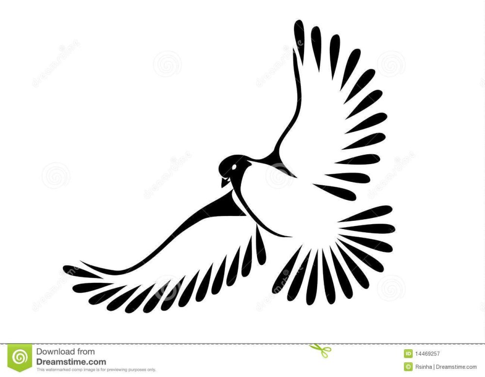 Силуэт голубя с расправленными крыльями