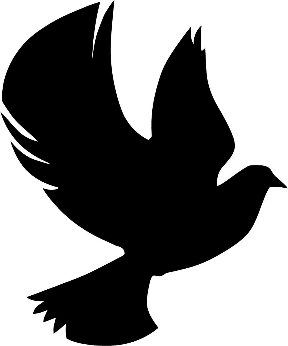 Светлая память голубь в небо