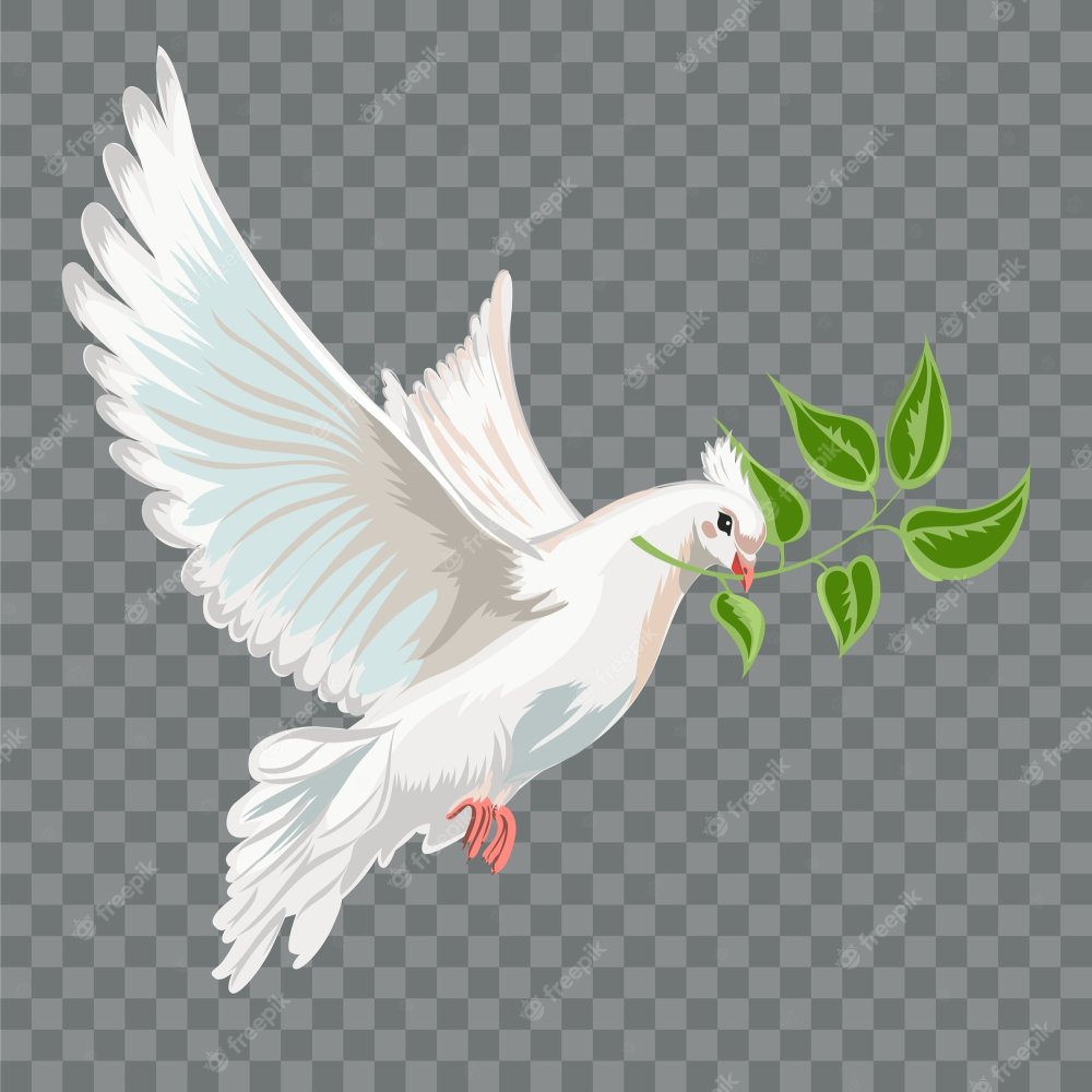 Белый голубь