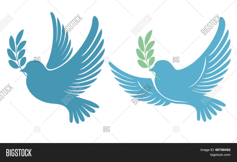 Нарисовать Крылья голубя