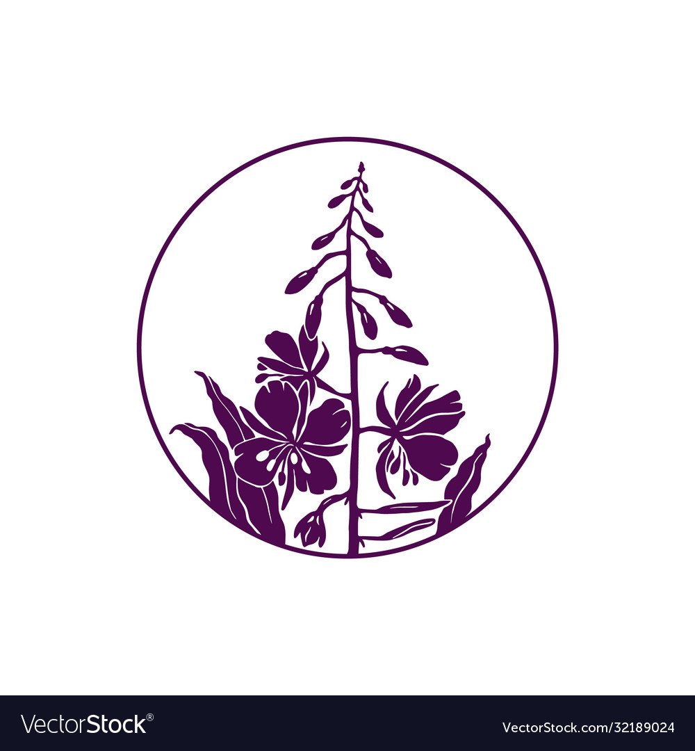 Кипрей Иван чай стилизация