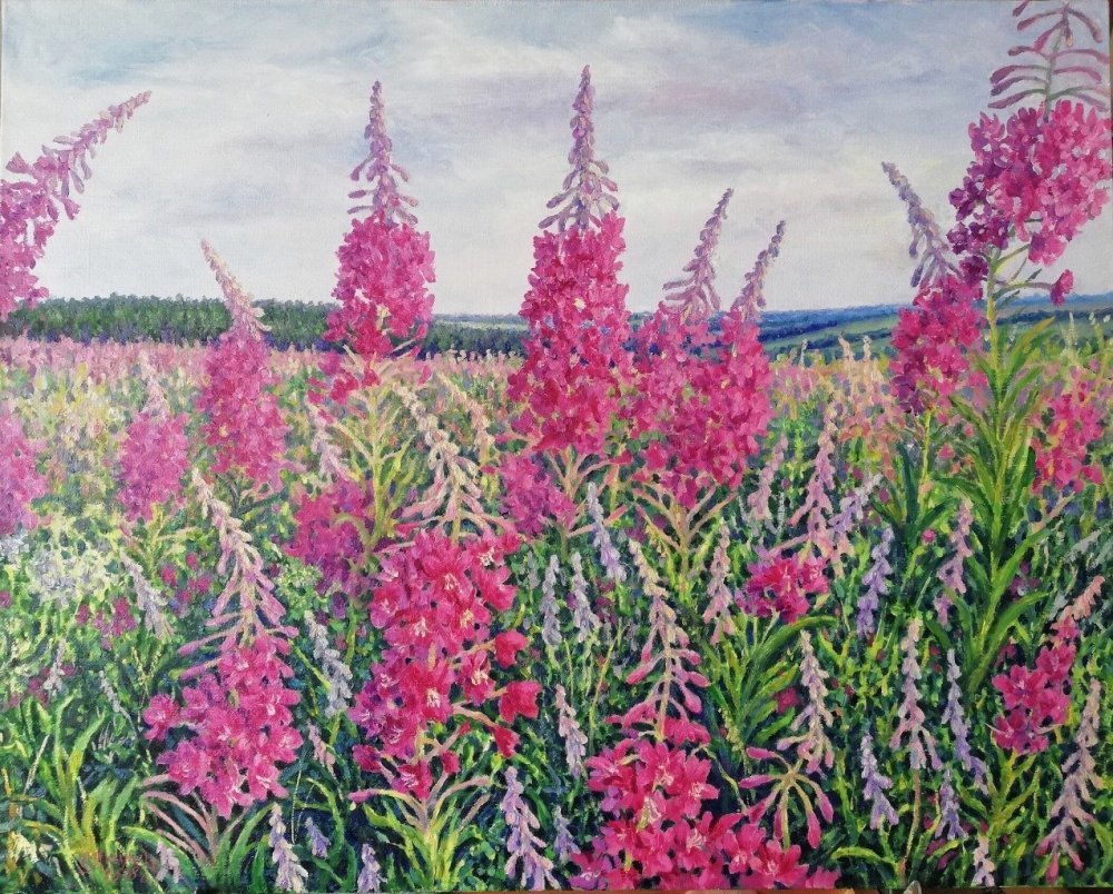 Картина Иван чай цветет