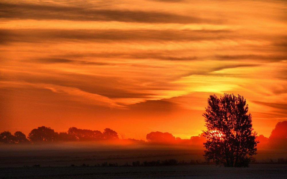 Оранжевый пейзаж
