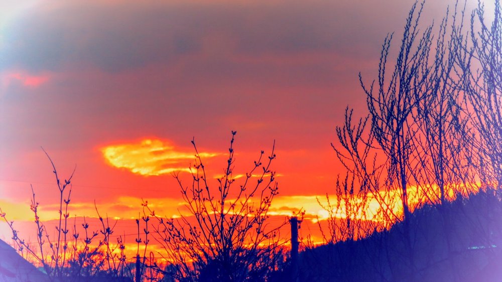 Утренний рассвет