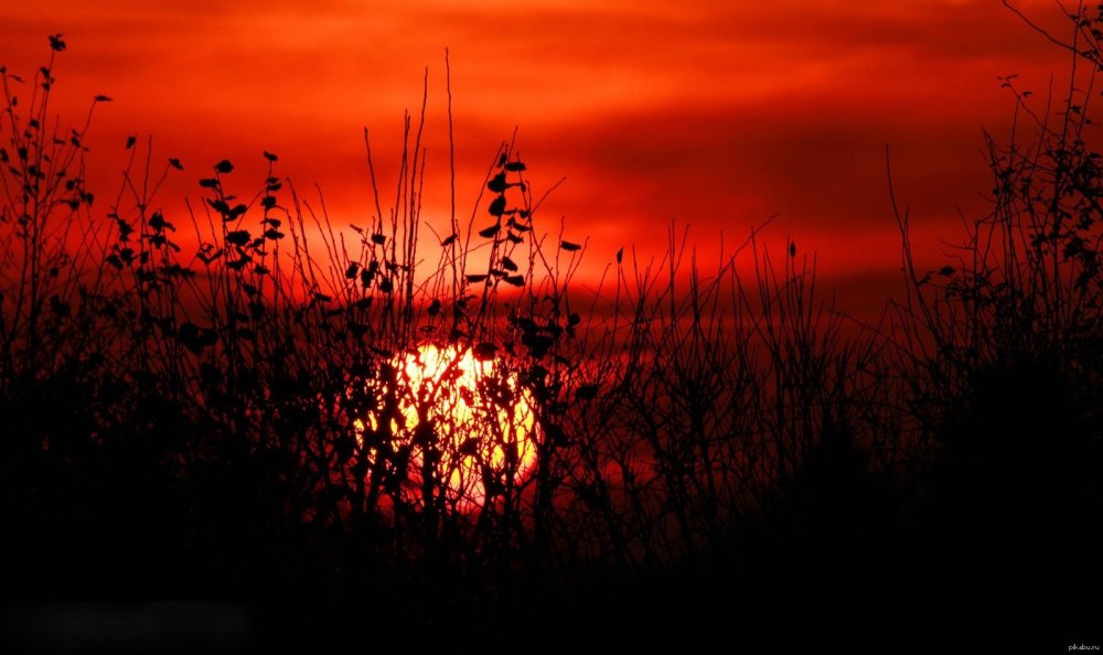 Кровавый закат