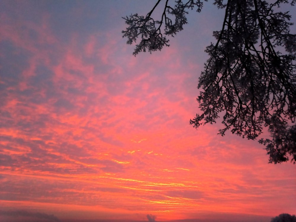 Алый рассвет