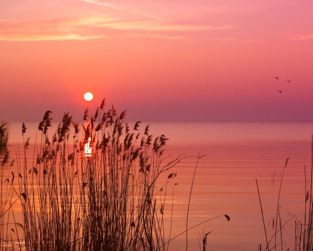 Ранний закат