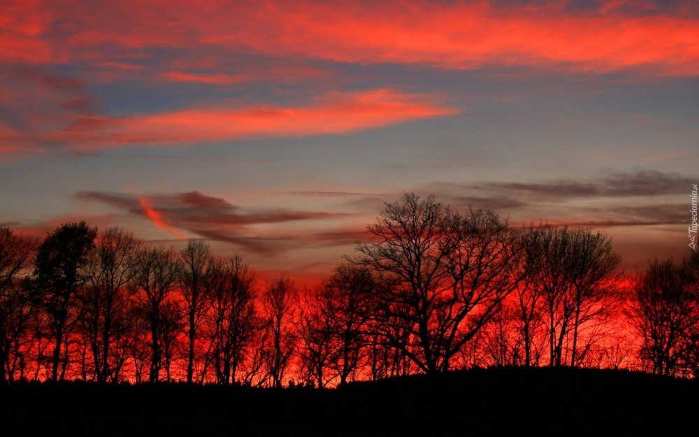 Багряный рассвет