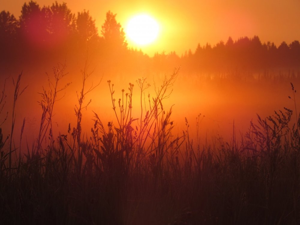 Зорька алая Алые зори