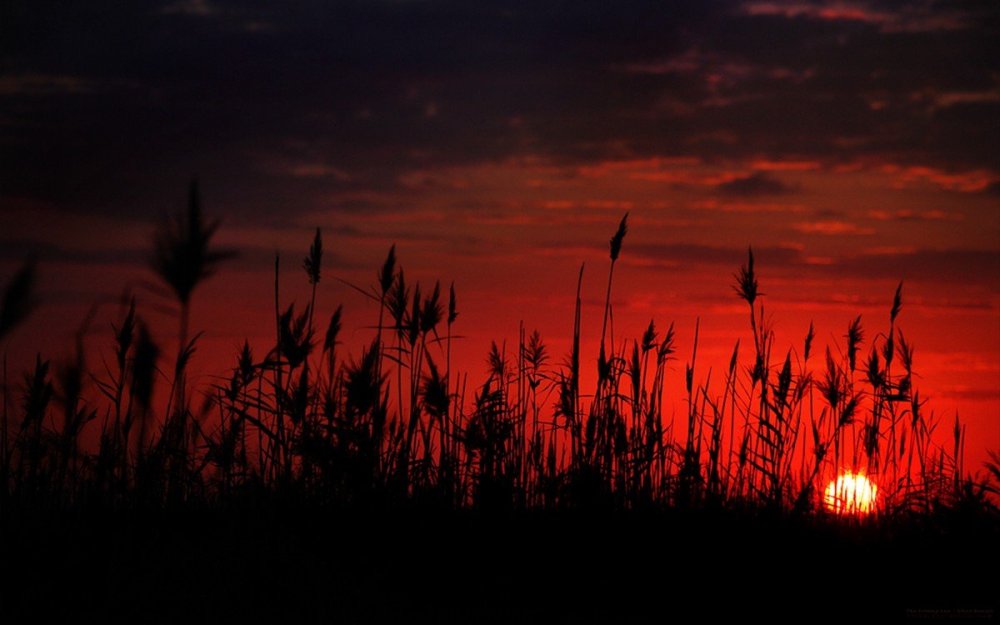 Темный закат