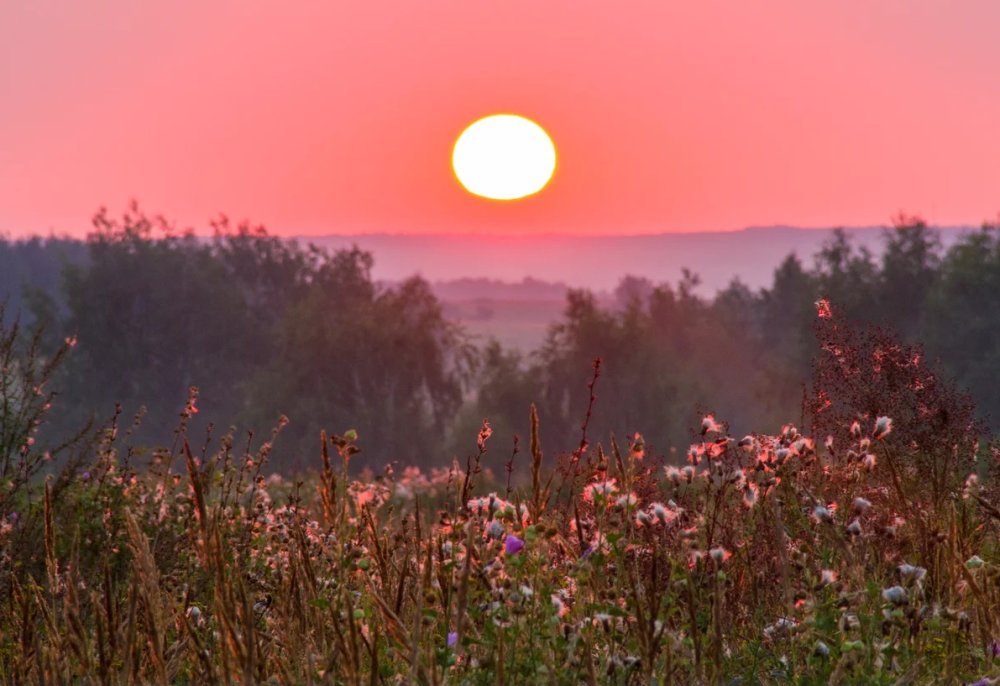 Утро (Утренняя Заря) (1534)