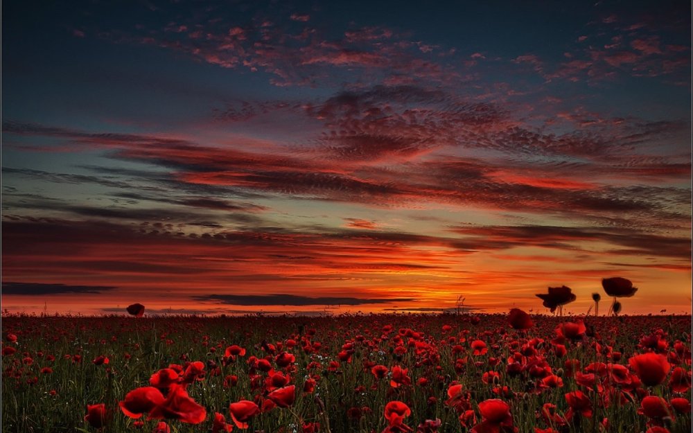 Красный закат фото