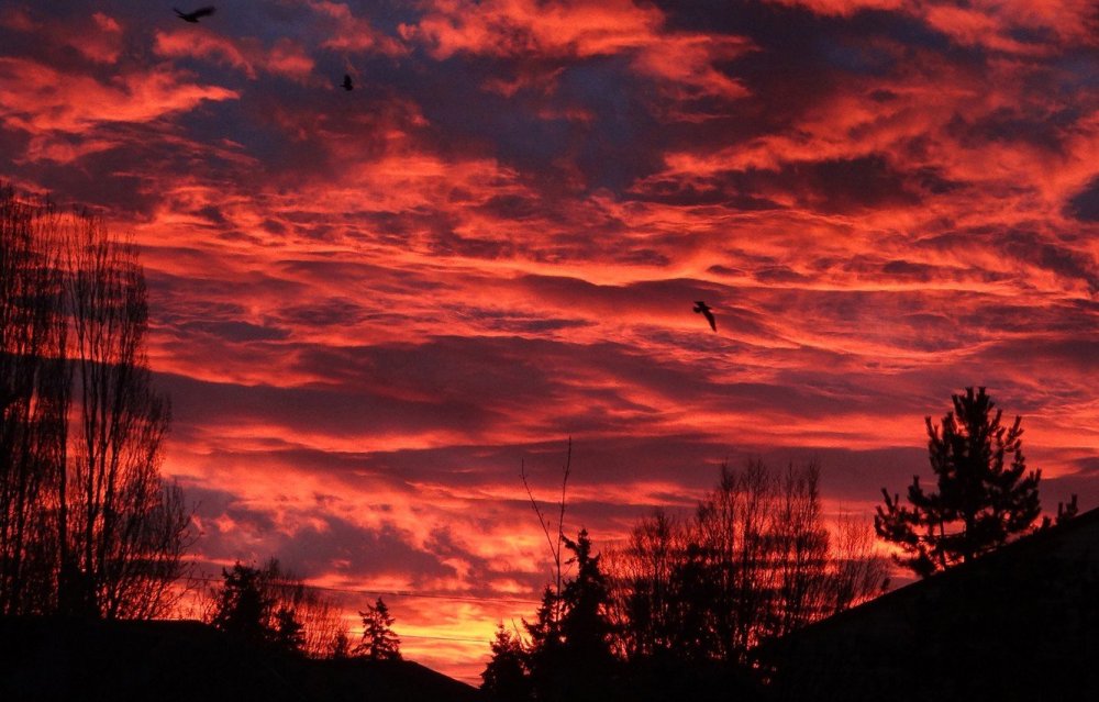 Кровавый закат