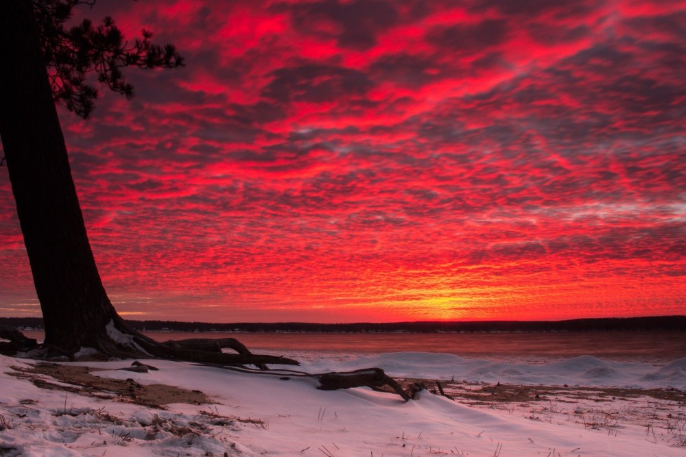 Розовый закат