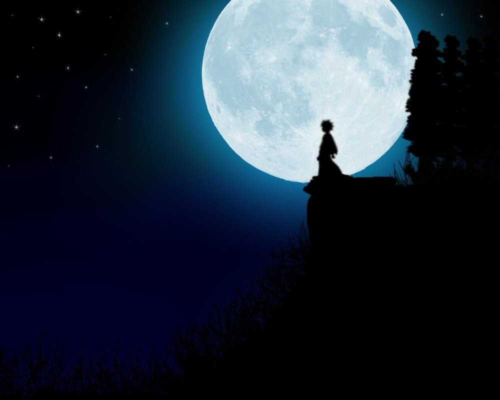 Под лунным светом