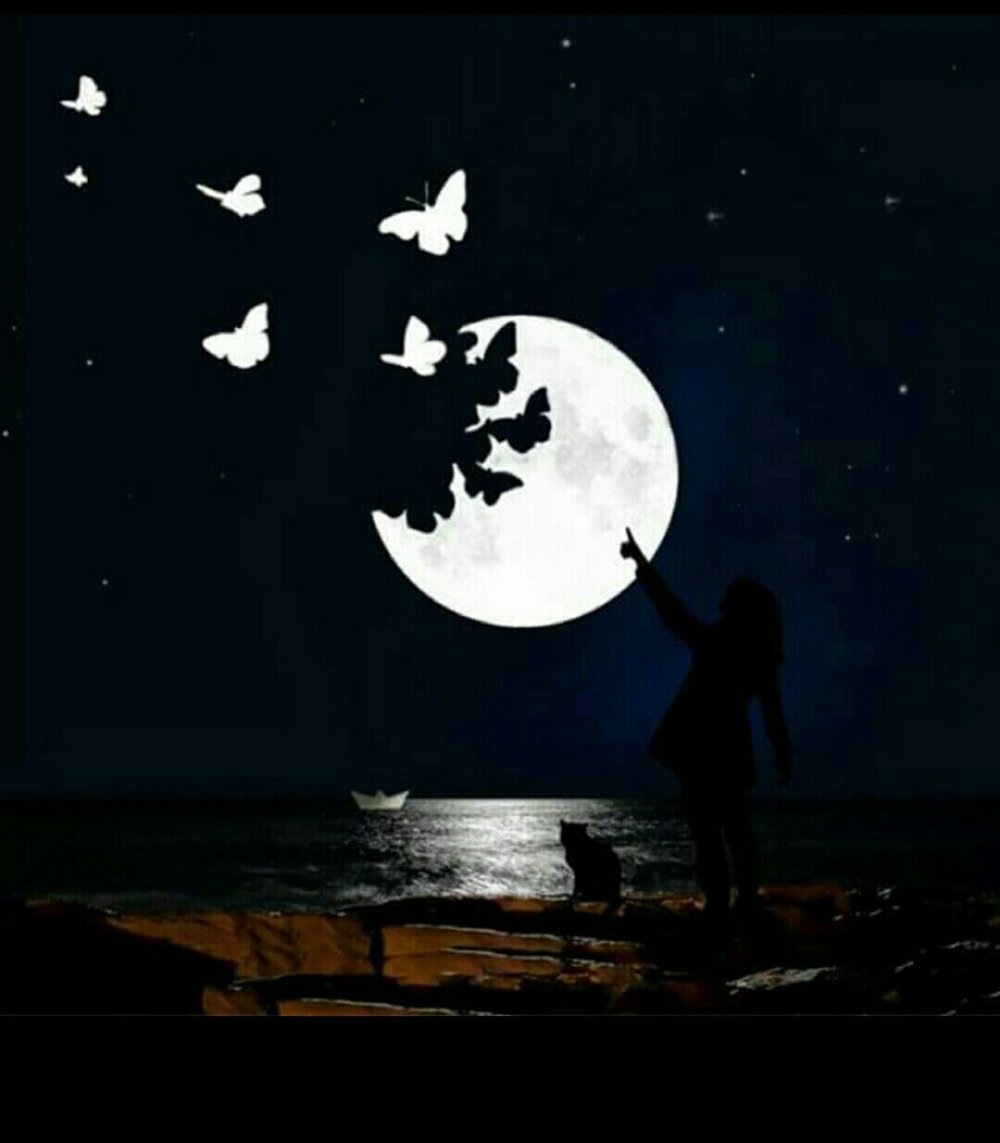 Ночь при Луне