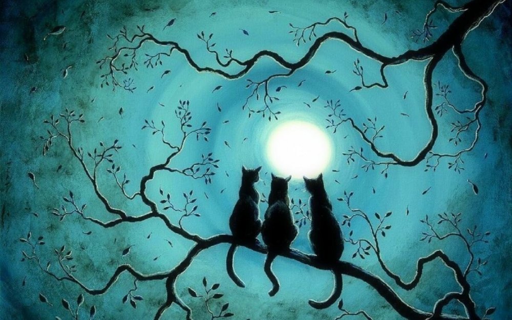 Коты на фоне Луны
