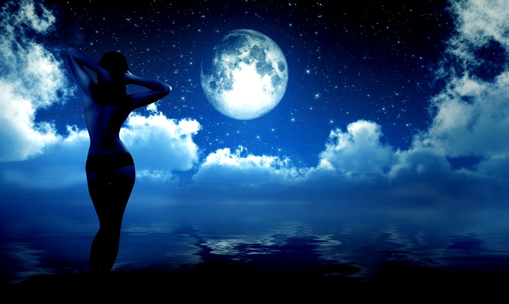 Волк на Красном фоне