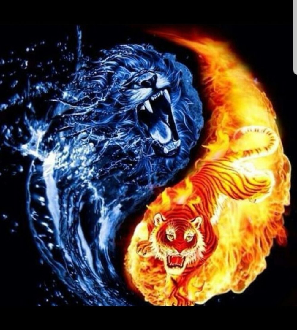 Инь Янь огонь и вода