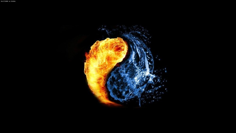 Логотип Инь Янь