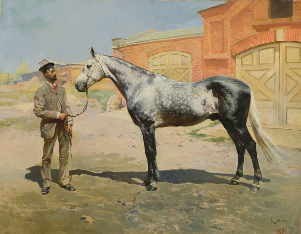 Орловский рысак (Орловская рысистая)