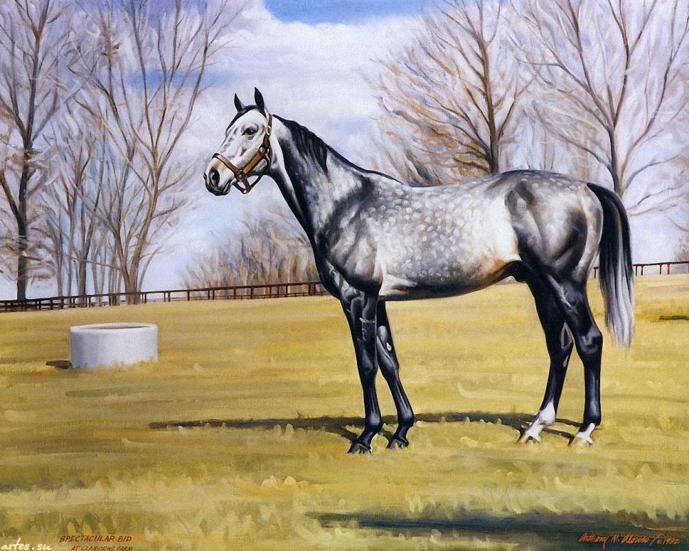 Белый рысак