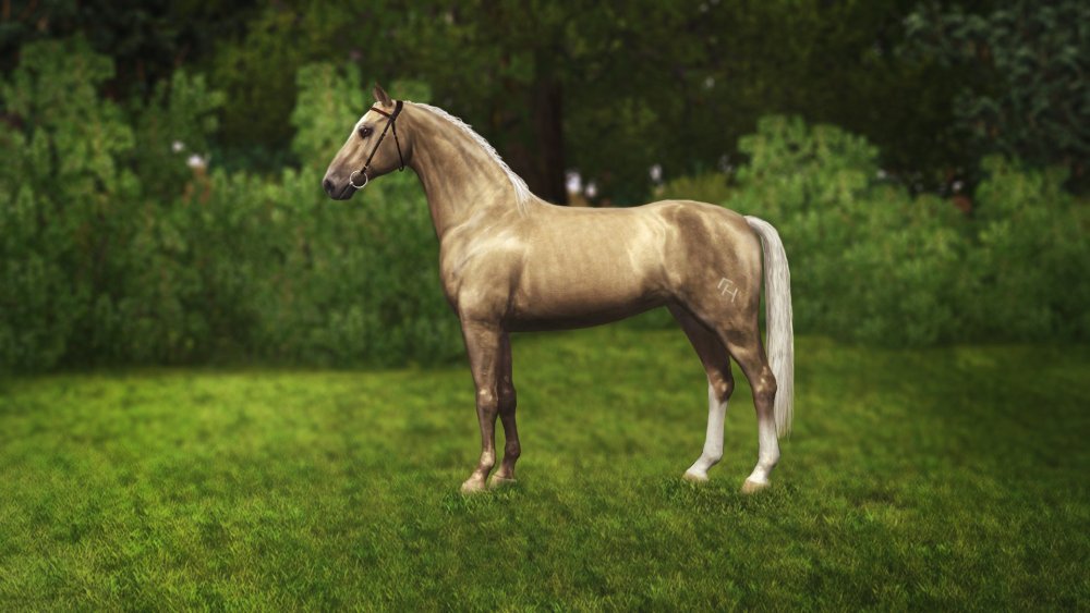 Орловский рысак соревнования