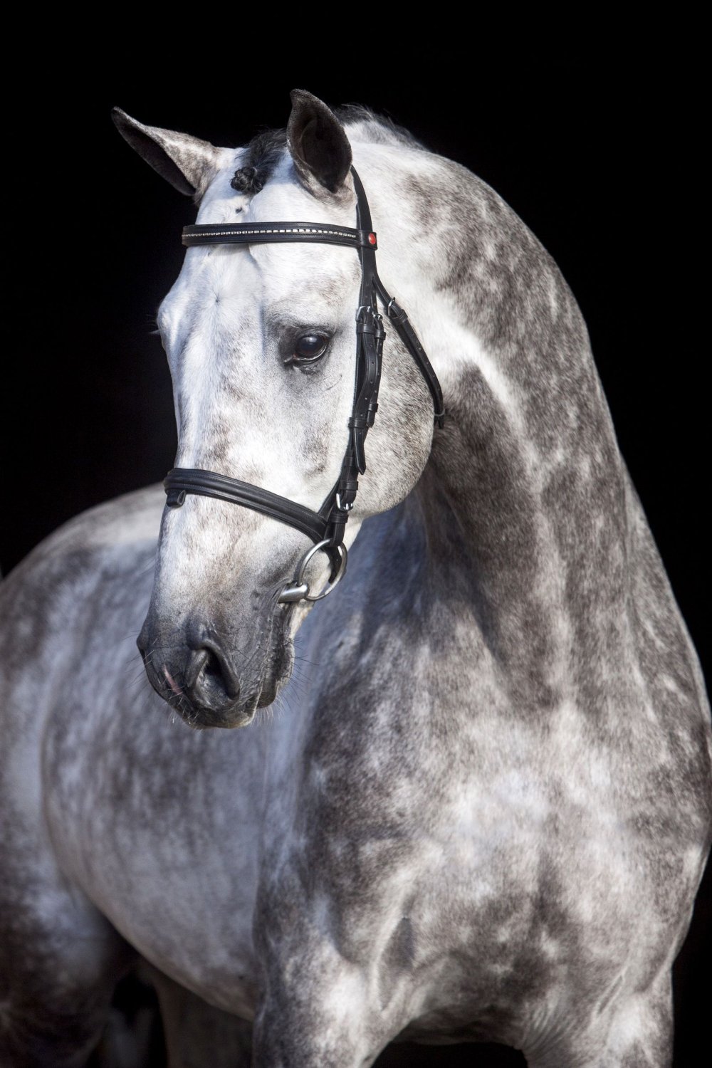 Цветы в гриве