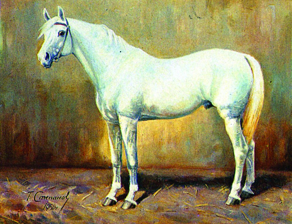 Орловский рысак картина