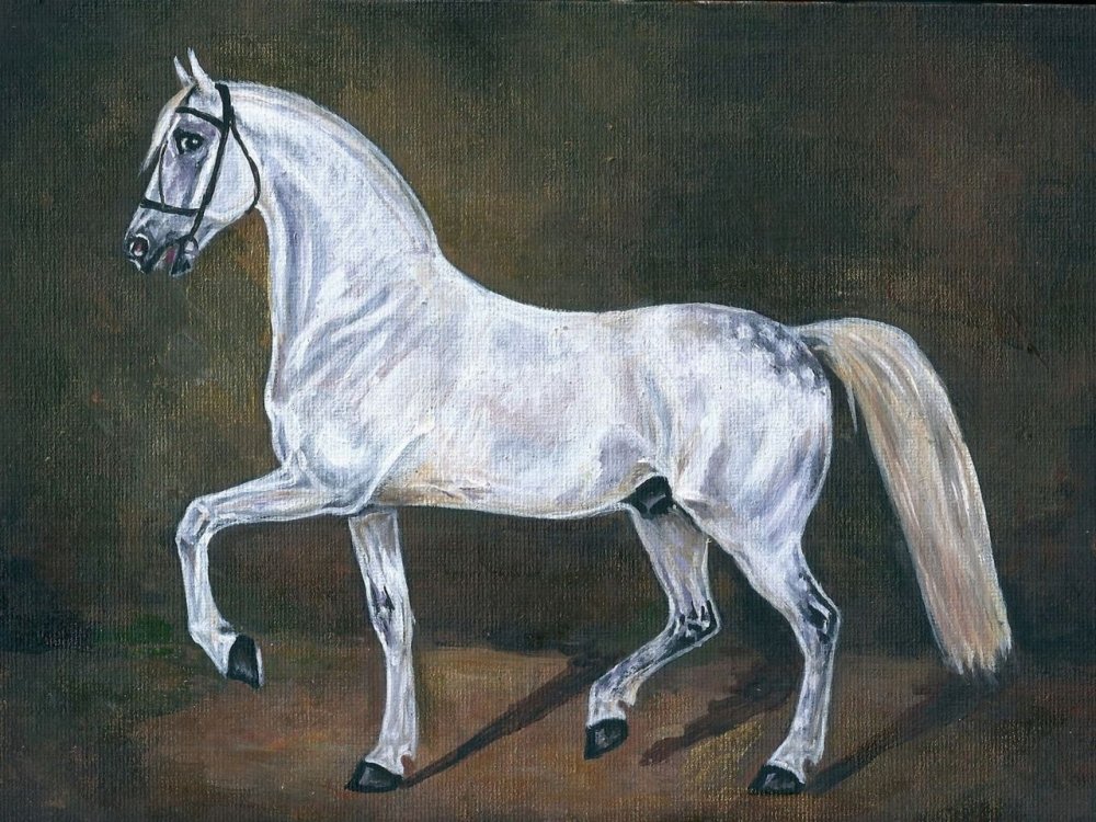Серая лошадь Орловский рысак