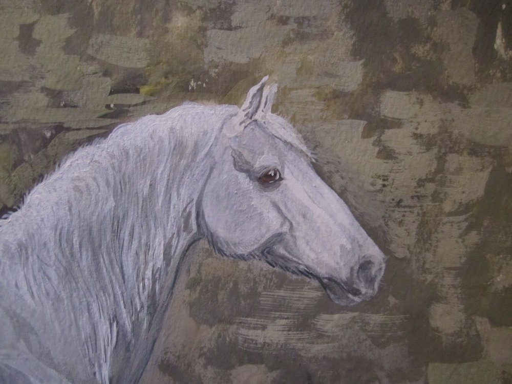 Лошадь породы Орловский рысак белый