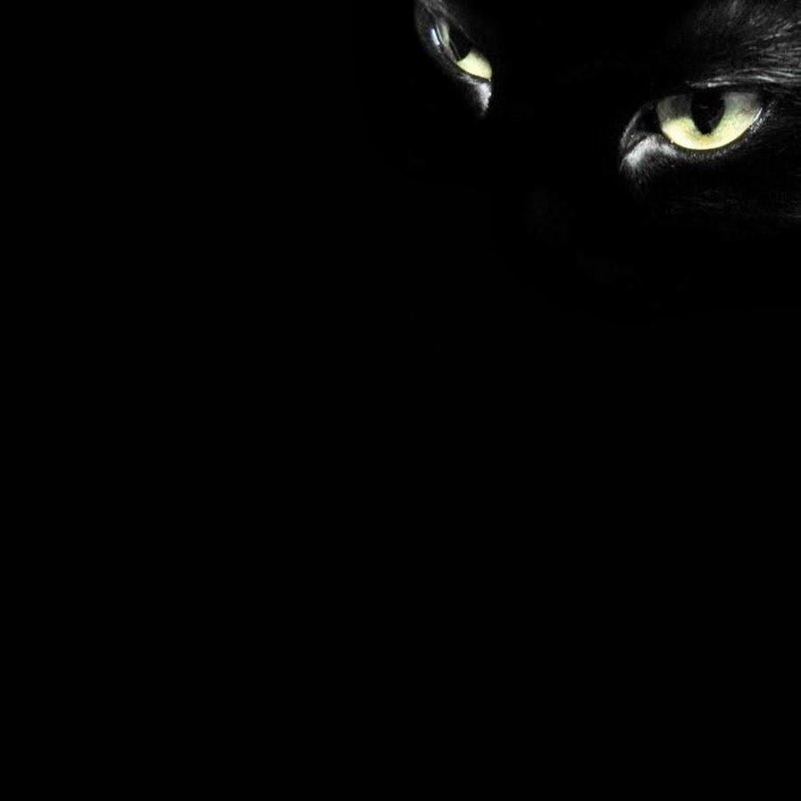 Кошка с зелеными глазами