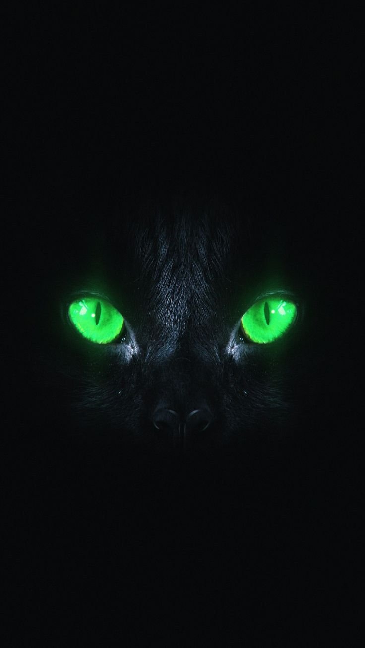 Желтые глаза в темноте