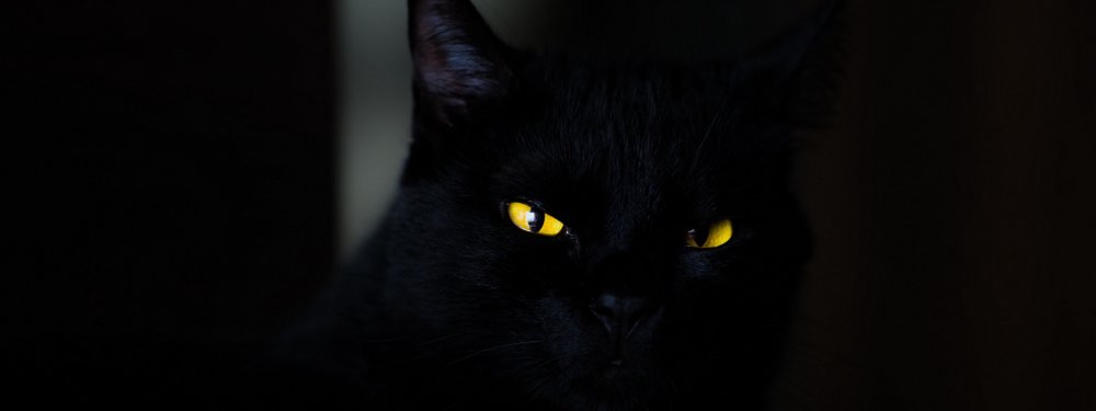 Кошачьи глаза в темноте