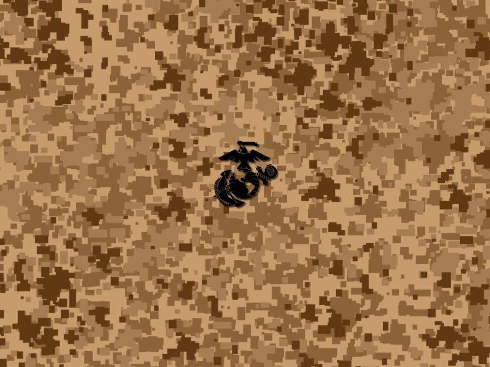 Camo Digital Desert USMC