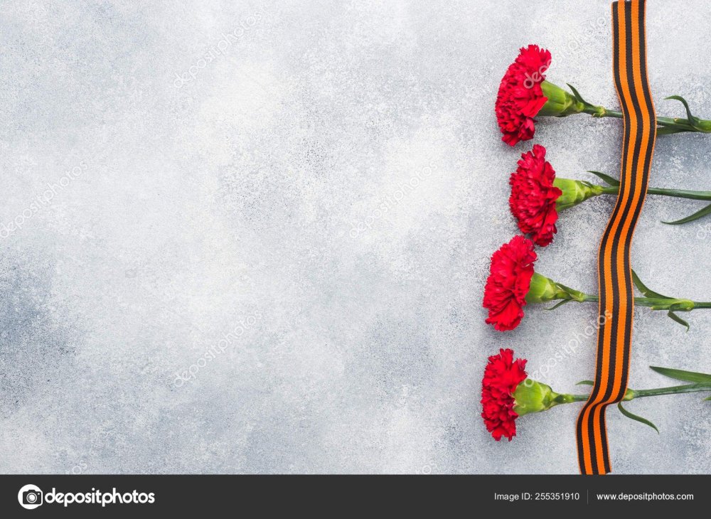 Фон гвоздики и Георгиевская лента