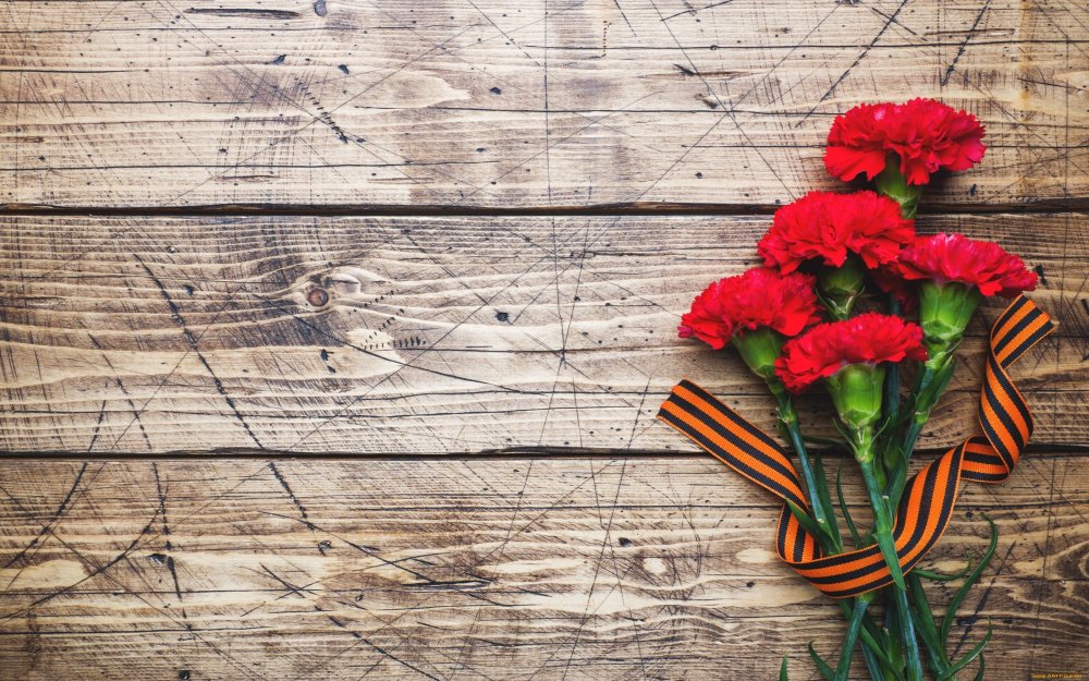 День Победы гвоздики