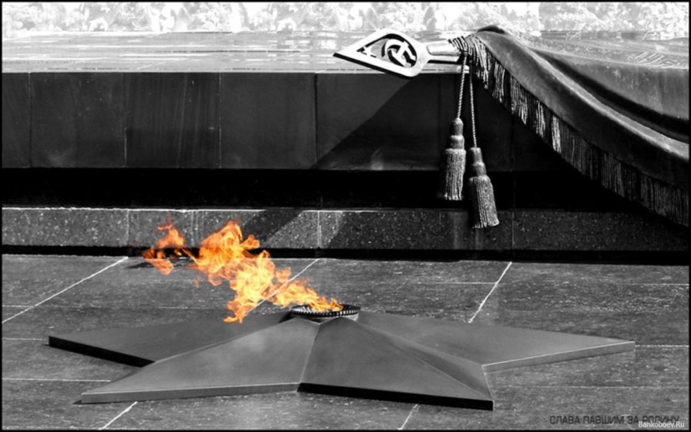 Великая Отечественная война вечный огонь