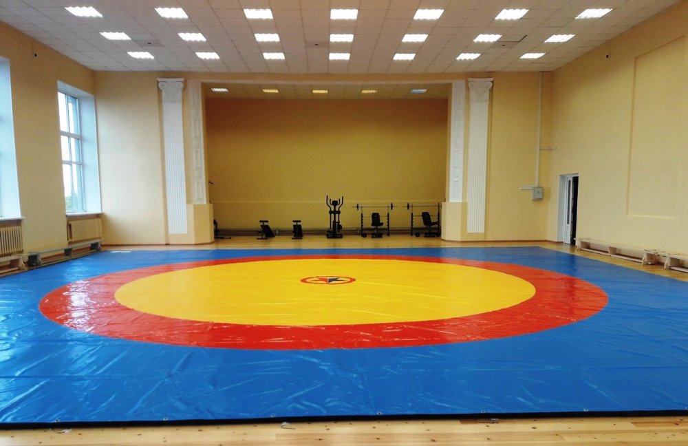 Вольная борьба татами